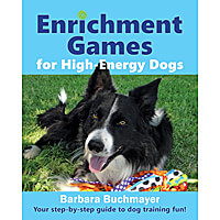 Enrichment Games for High-Energy Dogs